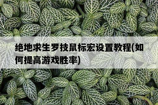 絕地求生羅技鼠標宏設置教程，如何提高游戲勝率-圖1