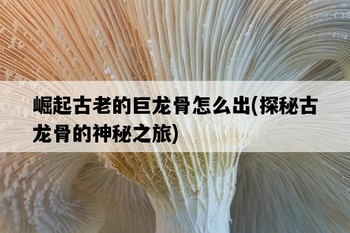 崛起古老的巨龍骨怎么出，探秘古龍骨的神秘之旅-圖1