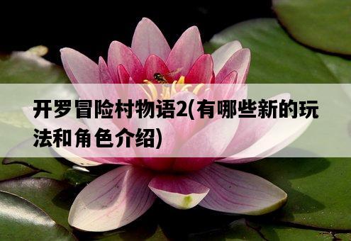 開羅冒險村物語2，有哪些新的玩法和角色介紹-圖1