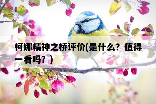 柯娜精神之橋評價，是什么？值得一看嗎？-圖1