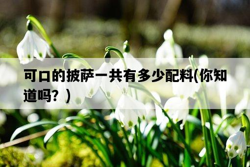 可口的披薩一共有多少配料，你知道嗎？-圖1