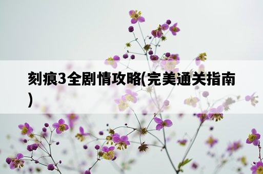 刻痕3全劇情攻略，完美通關指南-圖1