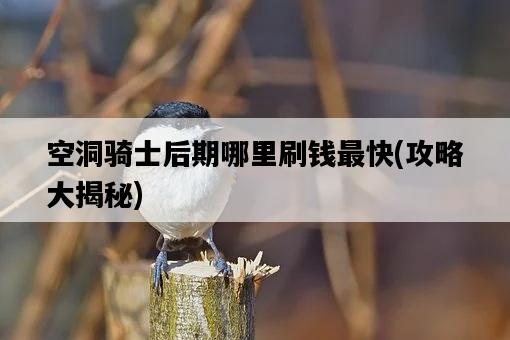 空洞騎士后期哪里刷錢最快，攻略大揭秘-圖1