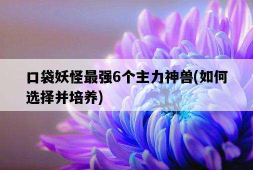 口袋妖怪最強6個主力神獸，如何選擇并培養-圖1