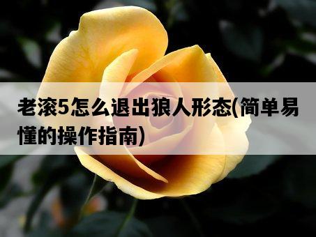 老滾5怎么退出狼人形態，簡單易懂的操作指南-圖1