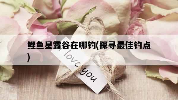 鯉魚星露谷在哪釣，探尋最佳釣點-圖1