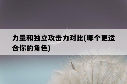 力量和獨立攻擊力對比，哪個更適合你的角色-圖1
