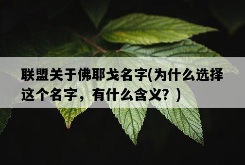聯盟關于佛耶戈名字，為什么選擇這個名字，有什么含義？-圖1