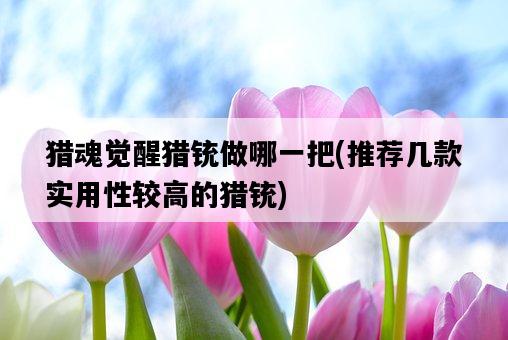 獵魂覺醒獵銃做哪一把，推薦幾款實用性較高的獵銃-圖1
