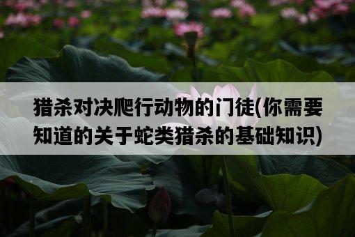 獵殺對決爬行動物的門徒，你需要知道的關于蛇類獵殺的基礎知識-圖1