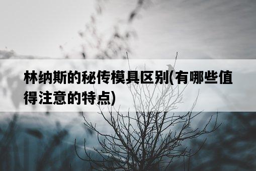 林納斯的秘傳模具區別，有哪些值得注意的特點-圖1