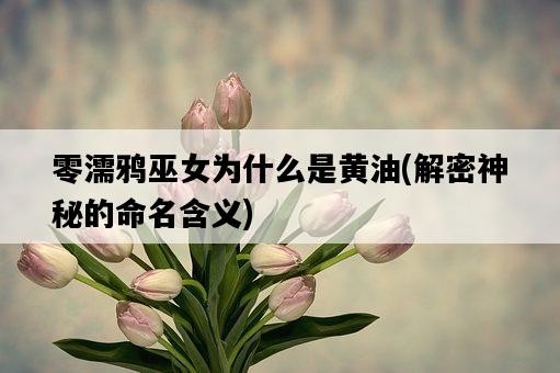 零濡鴉巫女為什么是黃油，解密神秘的命名含義-圖1
