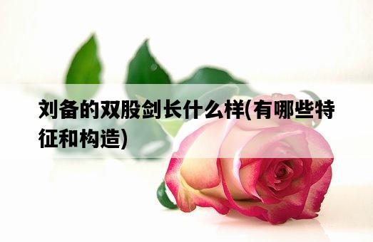 劉備的雙股劍長什么樣，有哪些特征和構造-圖1
