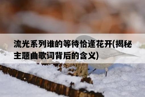 流光系列誰的等待恰逢花開，揭秘主題曲歌詞背后的含義-圖1