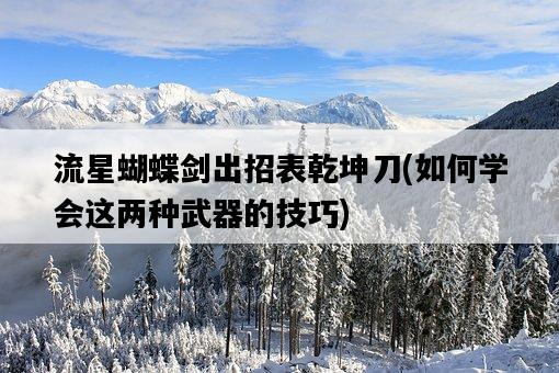 流星蝴蝶劍出招表乾坤刀，如何學會這兩種武器的技巧-圖1