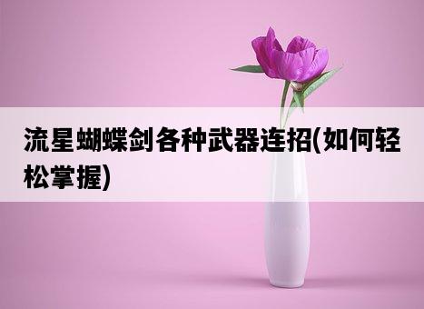 流星蝴蝶劍各種武器連招，如何輕松掌握-圖1