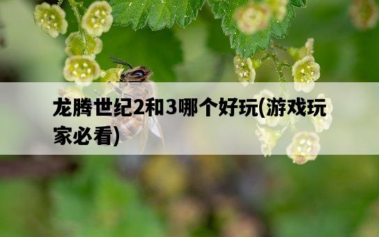 龍騰世紀2和3哪個好玩，游戲玩家必看-圖1