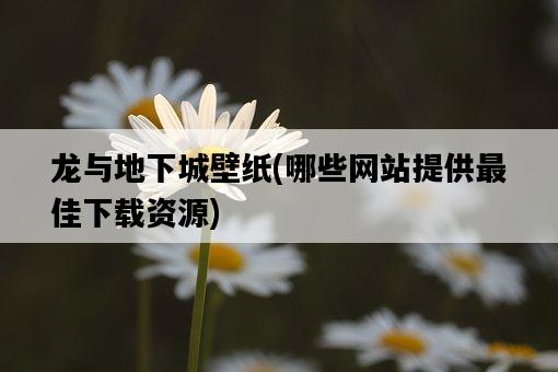 龍與地下城壁紙，哪些網站提供最佳下載資源-圖1