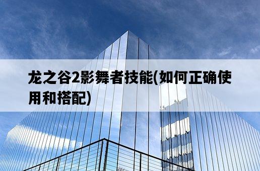 龍之谷2影舞者技能，如何正確使用和搭配-圖1