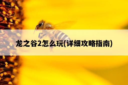 龍之谷2怎么玩，詳細攻略指南-圖1