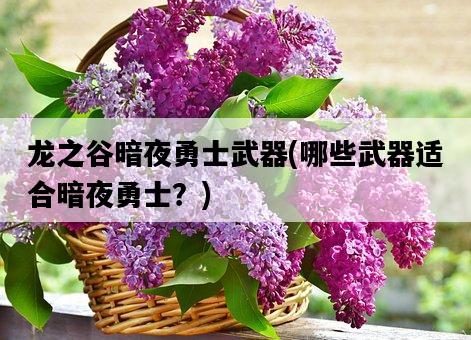 龍之谷暗夜勇士武器，哪些武器適合暗夜勇士？-圖1