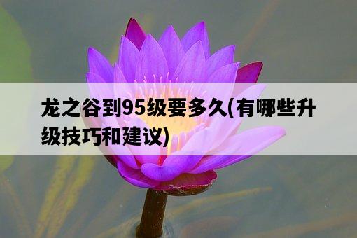 龍之谷到95級要多久，有哪些升級技巧和建議-圖1