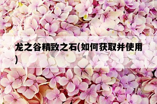 龍之谷精致之石，如何獲取并使用-圖1