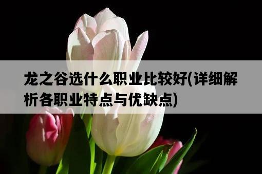 龍之谷選什么職業比較好，詳細解析各職業特點與優缺點-圖1