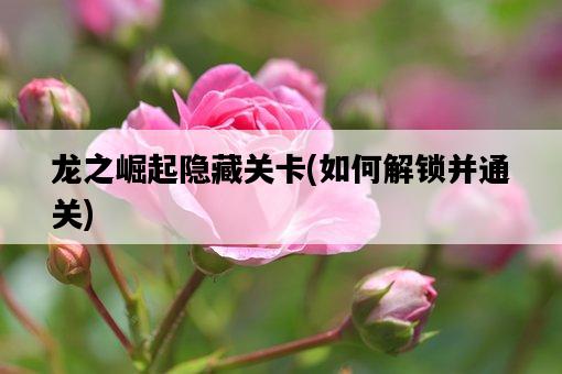 龍之崛起隱藏關卡，如何解鎖并通關-圖1