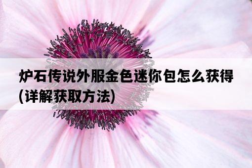 爐石傳說外服金色迷你包怎么獲得，詳解獲取方法-圖1