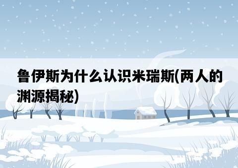魯伊斯為什么認識米瑞斯，兩人的淵源揭秘-圖1
