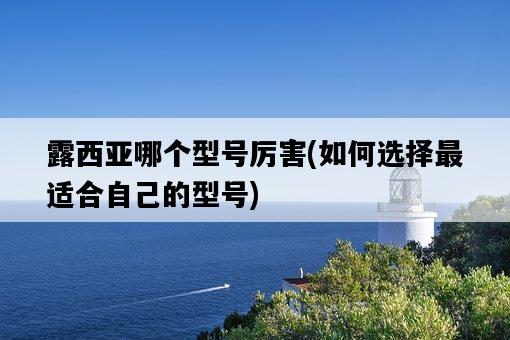 露西亞哪個型號厲害，如何選擇最適合自己的型號-圖1