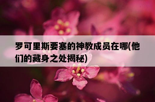 羅可里斯要塞的神教成員在哪，他們的藏身之處揭秘-圖1
