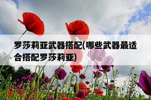 羅莎莉亞武器搭配，哪些武器最適合搭配羅莎莉亞-圖1
