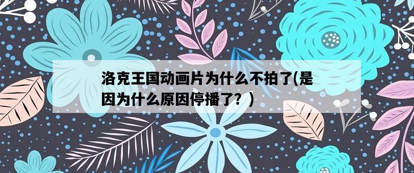 洛克王國動畫片為什么不拍了，是因為什么原因停播了？-圖1