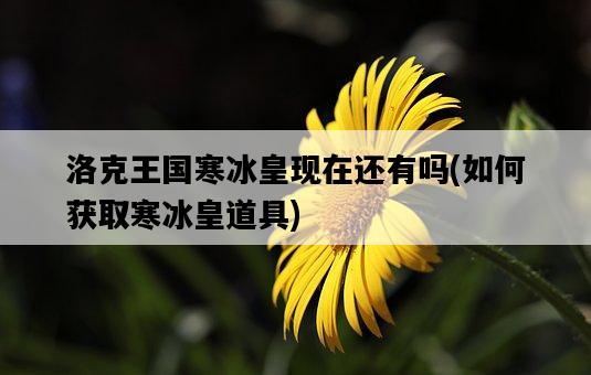 洛克王國寒冰皇現在還有嗎，如何獲取寒冰皇道具-圖1