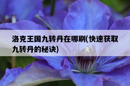 洛克王國九轉丹在哪刷，快速獲取九轉丹的秘訣-圖1