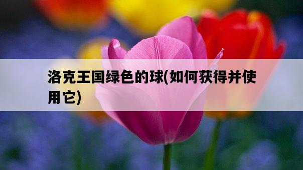 洛克王國綠色的球，如何獲得并使用它-圖1