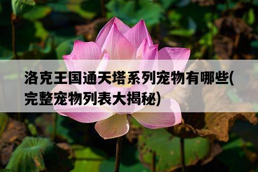 洛克王國通天塔系列寵物有哪些，完整寵物列表大揭秘-圖1