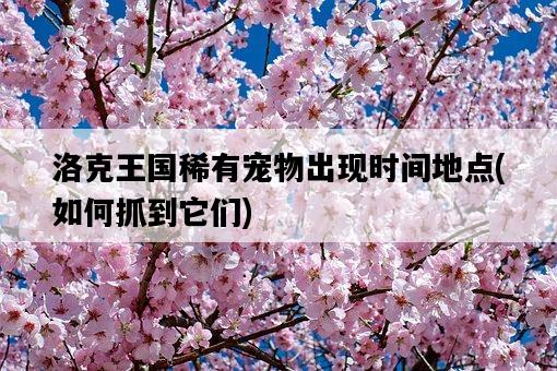 洛克王國稀有寵物出現時間地點，如何抓到它們-圖1