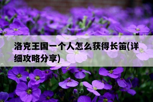 洛克王國一個人怎么獲得長笛，詳細攻略分享-圖1