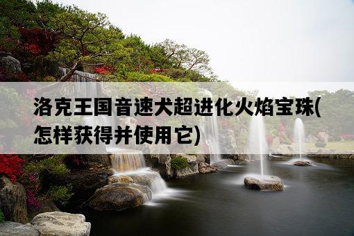 洛克王國音速犬超進化火焰寶珠，怎樣獲得并使用它-圖1