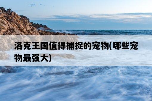 洛克王國值得捕捉的寵物，哪些寵物最強大-圖1