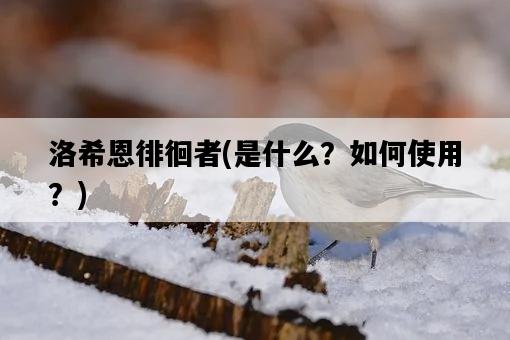 洛希恩徘徊者，是什么？如何使用？-圖1