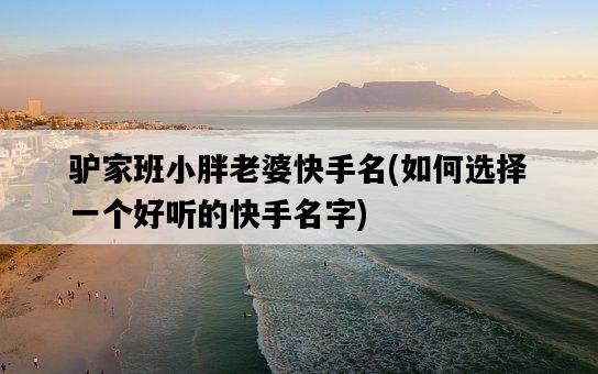 驢家班小胖老婆快手名，如何選擇一個好聽的快手名字-圖1