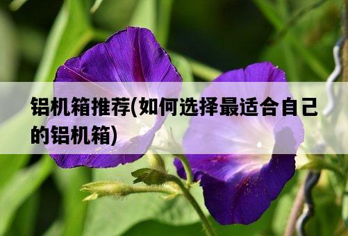 鋁機箱推薦，如何選擇最適合自己的鋁機箱-圖1