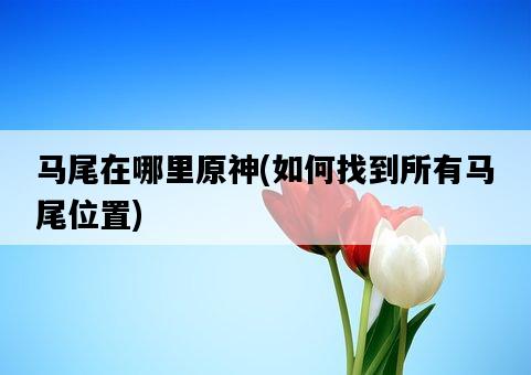 馬尾在哪里原神，如何找到所有馬尾位置-圖1