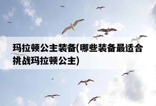 瑪拉頓公主裝備，哪些裝備最適合挑戰瑪拉頓公主-圖1