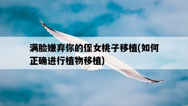 滿臉嫌棄你的侄女桃子移植，如何正確進行植物移植-圖1
