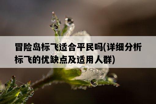 冒險島標飛適合平民嗎，詳細分析標飛的優缺點及適用人群-圖1